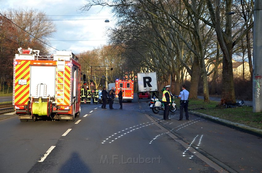 VU PKW Baum Koeln Muelheim Pfaelzischer Ring P036.JPG